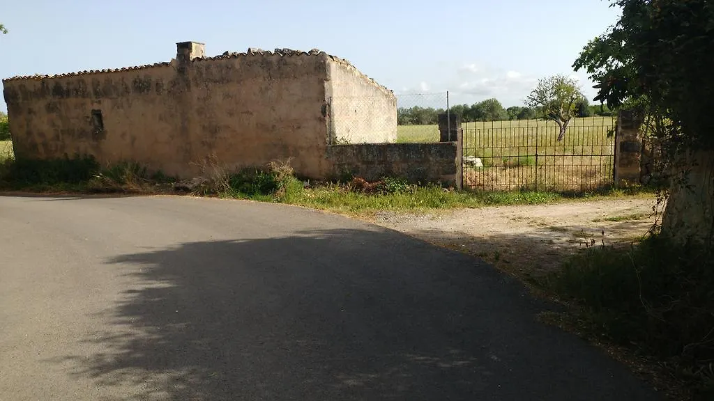 Gospodarstwo wiejskie Pensjonat S'Hort De N'Andreu Llucmajor